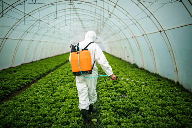 Best Residential Pest Control  in Everman, TX