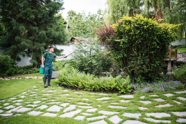 Best Pest Prevention Services  in Everman, TX