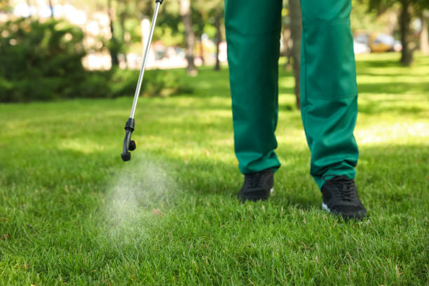 Best Flea Control Services  in Everman, TX