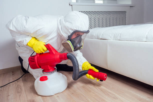 Best Residential Pest Control  in Everman, TX