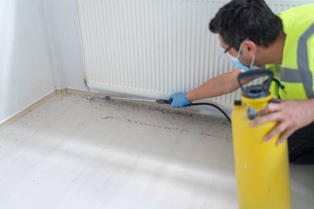 Best Cockroach Control Services  in Everman, TX