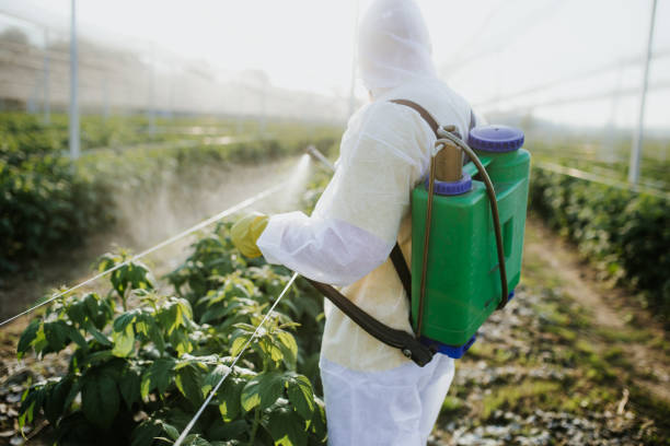 Best Bed Bug Extermination  in Everman, TX
